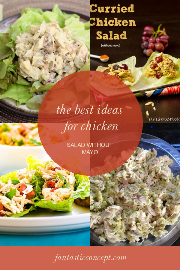 The Best Ideas for Chicken Salad without Mayo - Home, Family, Style and ...